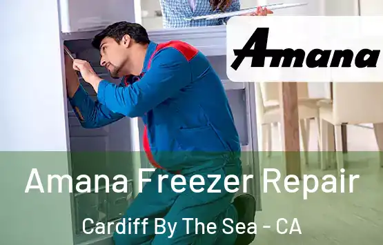  Amana Freezer Repair Cardiff By The Sea - CA