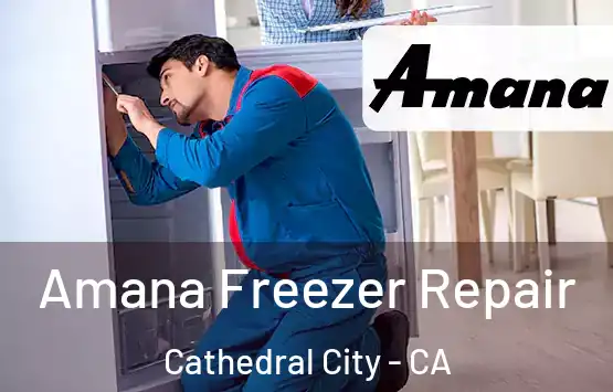  Amana Freezer Repair Cathedral City - CA