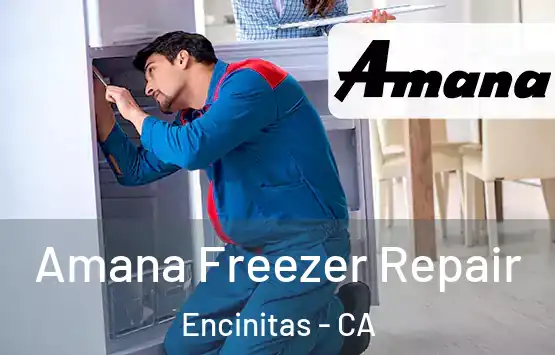  Amana Freezer Repair Encinitas - CA