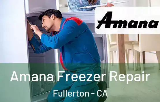  Amana Freezer Repair Fullerton - CA