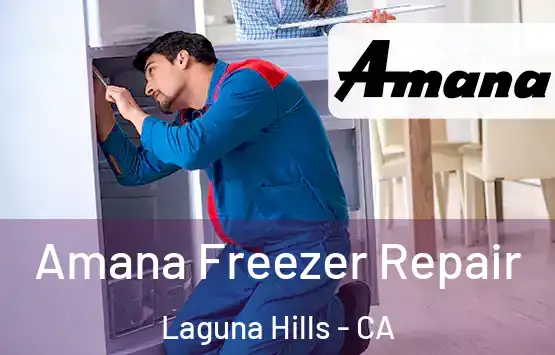 Amana Freezer Repair Laguna Hills - CA