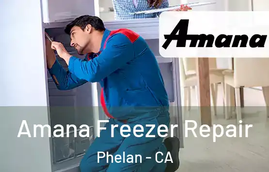  Amana Freezer Repair Phelan - CA