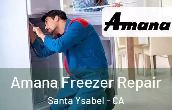  Amana Freezer Repair Santa Ysabel - CA