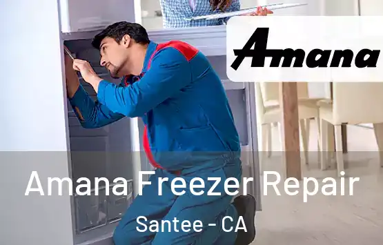  Amana Freezer Repair Santee - CA