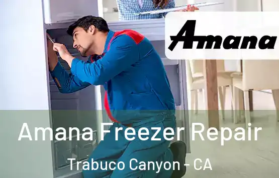  Amana Freezer Repair Trabuco Canyon - CA