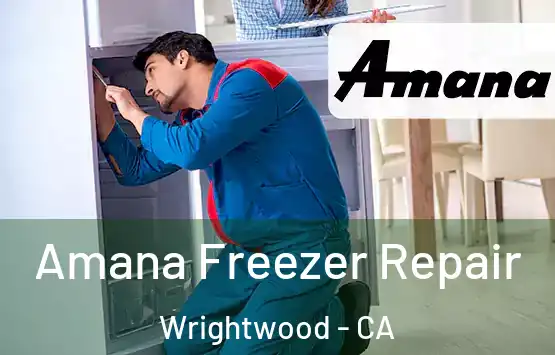  Amana Freezer Repair Wrightwood - CA