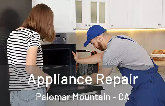  Appliance Repair Palomar Mountain - CA