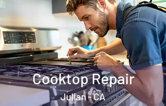  Cooktop Repair Julian - CA