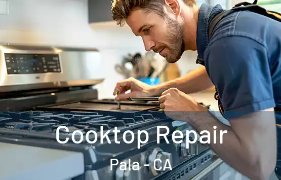  Cooktop Repair Pala - CA