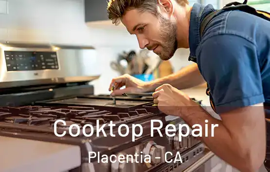  Cooktop Repair Placentia - CA