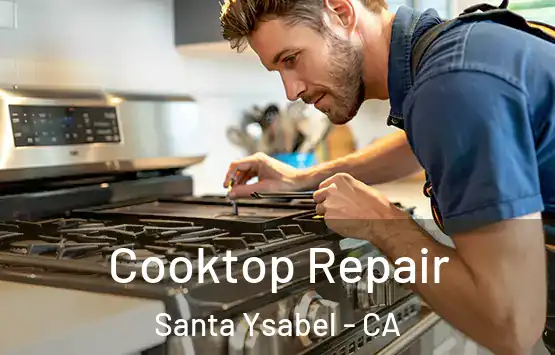  Cooktop Repair Santa Ysabel - CA