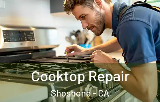  Cooktop Repair Shoshone - CA