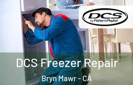  DCS Freezer Repair Bryn Mawr - CA