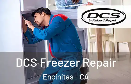  DCS Freezer Repair Encinitas - CA