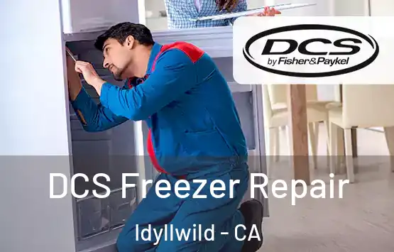  DCS Freezer Repair Idyllwild - CA