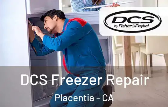  DCS Freezer Repair Placentia - CA