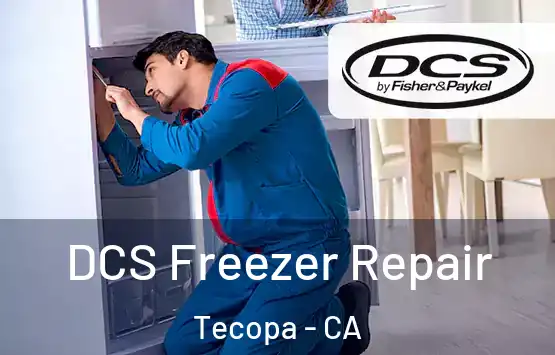  DCS Freezer Repair Tecopa - CA