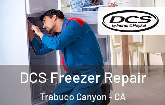  DCS Freezer Repair Trabuco Canyon - CA