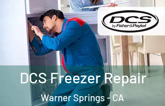  DCS Freezer Repair Warner Springs - CA
