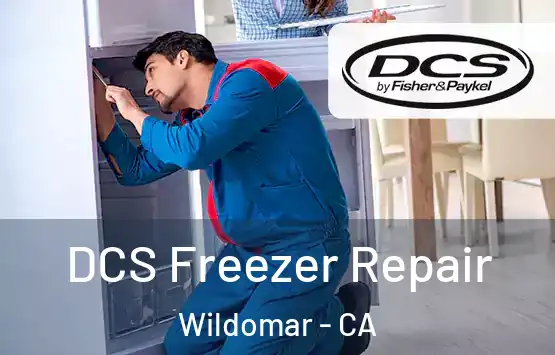  DCS Freezer Repair Wildomar - CA