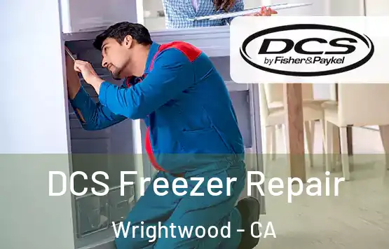  DCS Freezer Repair Wrightwood - CA