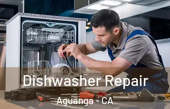  Dishwasher Repair Aguanga - CA