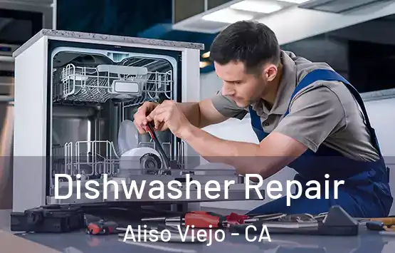  Dishwasher Repair Aliso Viejo - CA