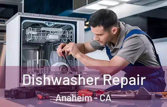  Dishwasher Repair Anaheim - CA