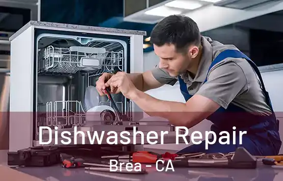  Dishwasher Repair Brea - CA
