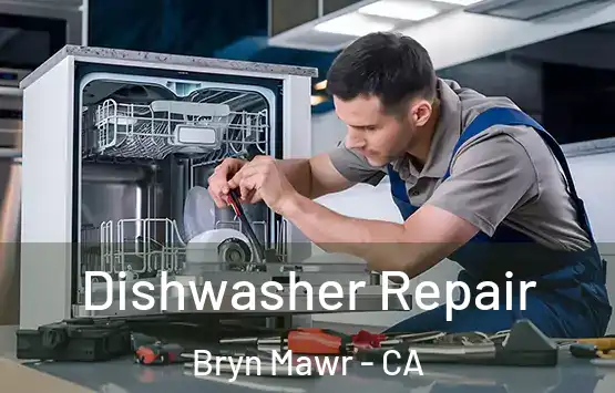  Dishwasher Repair Bryn Mawr - CA