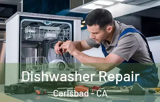  Dishwasher Repair Carlsbad - CA