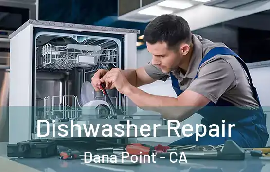  Dishwasher Repair Dana Point - CA