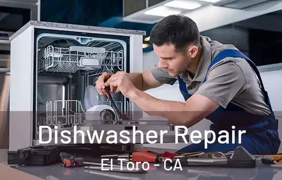  Dishwasher Repair El Toro - CA