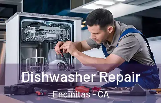  Dishwasher Repair Encinitas - CA