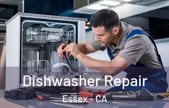  Dishwasher Repair Essex - CA