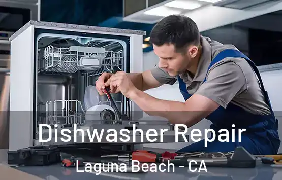  Dishwasher Repair Laguna Beach - CA