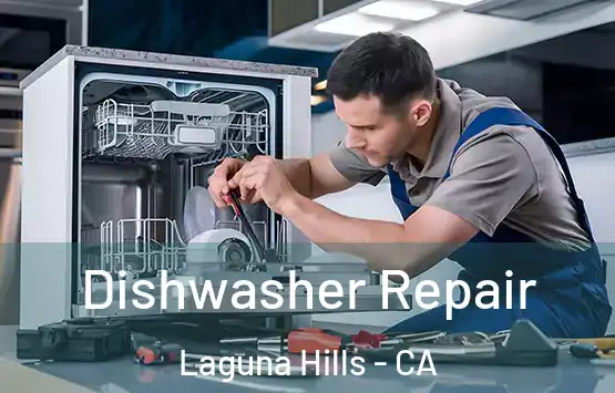  Dishwasher Repair Laguna Hills - CA