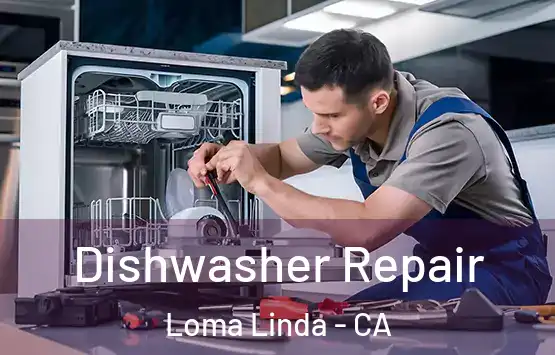  Dishwasher Repair Loma Linda - CA