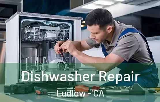  Dishwasher Repair Ludlow - CA