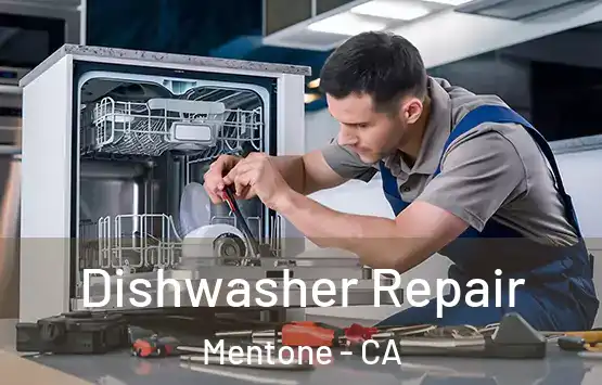  Dishwasher Repair Mentone - CA