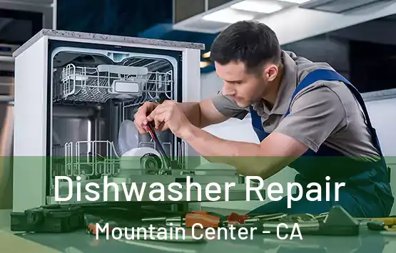  Dishwasher Repair Mountain Center - CA