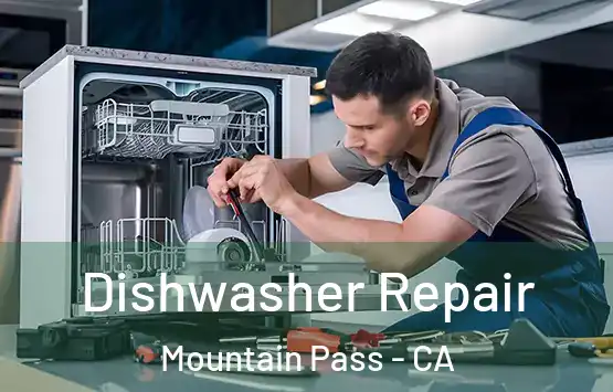  Dishwasher Repair Mountain Pass - CA