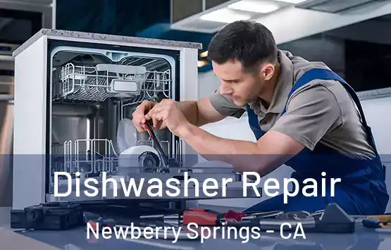  Dishwasher Repair Newberry Springs - CA