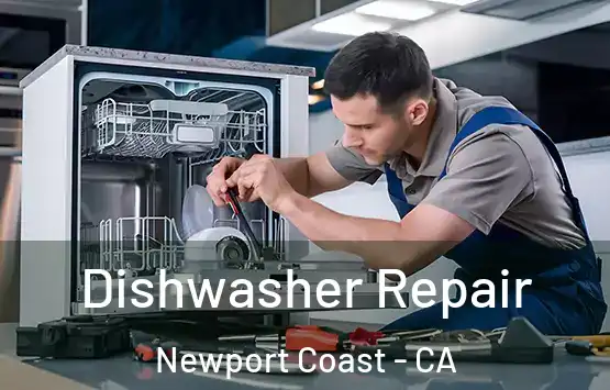  Dishwasher Repair Newport Coast - CA