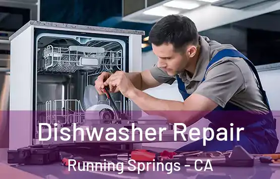  Dishwasher Repair Running Springs - CA
