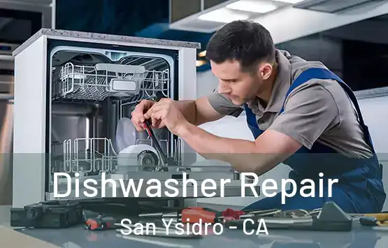  Dishwasher Repair San Ysidro - CA