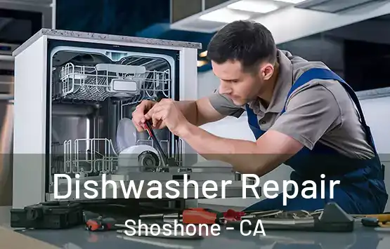  Dishwasher Repair Shoshone - CA
