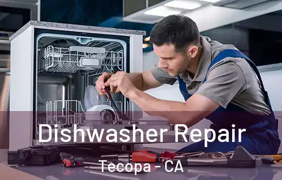  Dishwasher Repair Tecopa - CA