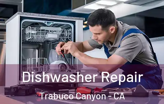  Dishwasher Repair Trabuco Canyon - CA