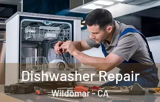  Dishwasher Repair Wildomar - CA